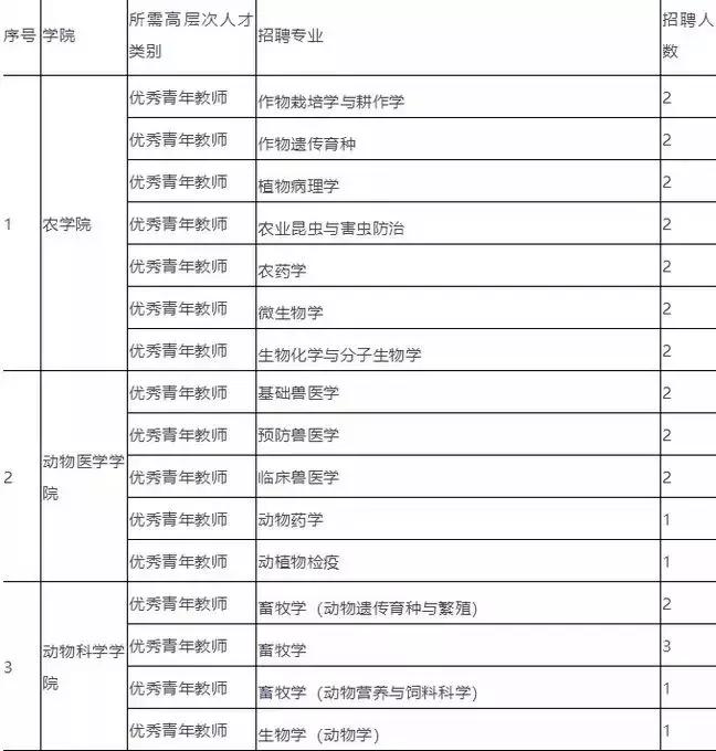 巴楚最新招聘信息概覽