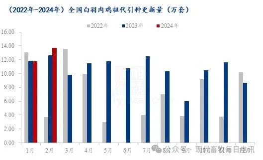 白羽肉雞最新價格動態(tài)分析