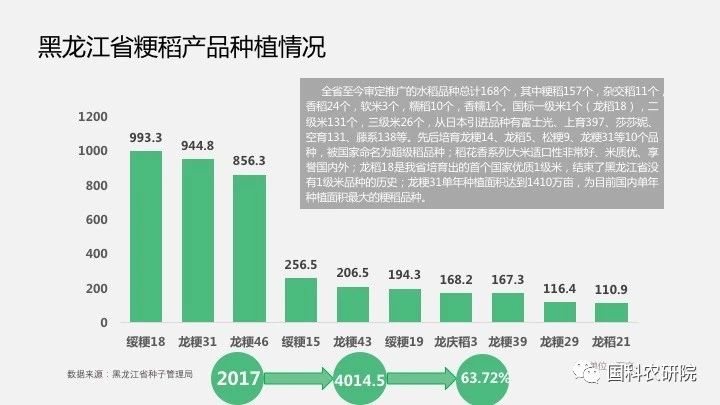 遼寧水稻價格最新報價及市場動態分析