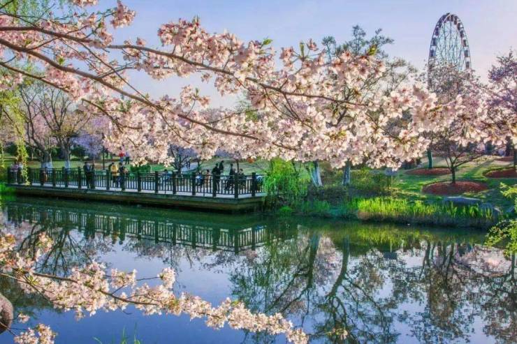 奉城公園最新動態，重塑城市綠色心臟