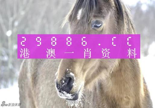 澳門精準(zhǔn)一肖一碼100%，揭示犯罪背后的真相與警示