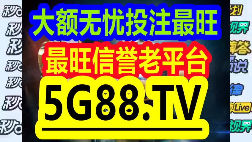 管家婆一碼一肖資料，深度解析與實際應用