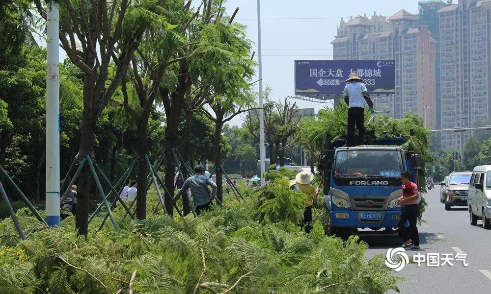 廣西北海臺風最新消息，臺風動態與應對措施