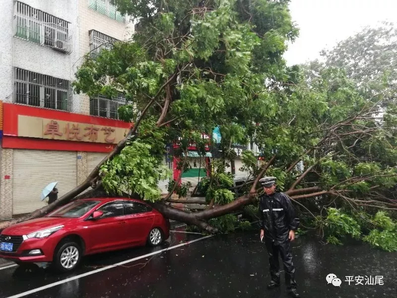 汕尾臺風最新消息，全面應對，保障安全