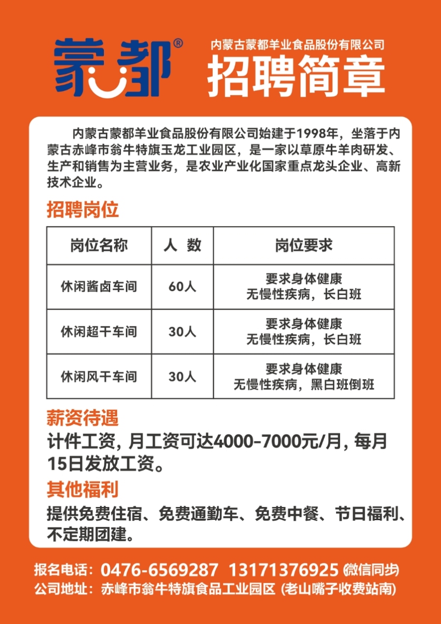 凌源招聘網最新招聘動態深度解析