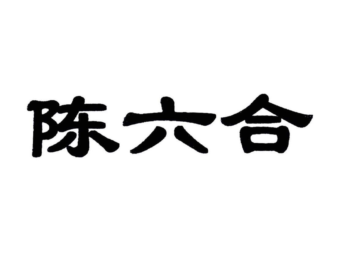 陳六合最新動態，不斷突破，展現新篇章