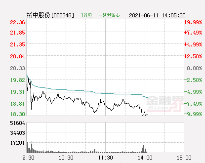 柘中股份最新消息全面解析