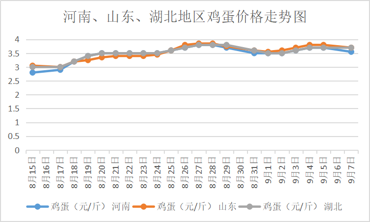 山東雞蛋今日最新報價及市場分析